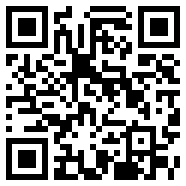 qq输入法纯净版LocalAI