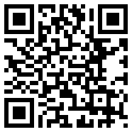 5号特工组之偷天换日