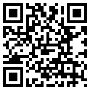 qq2012透明皮肤