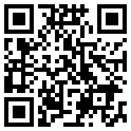 带flash手机浏览器ios