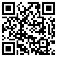 片app