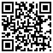 net framework 4.0vip