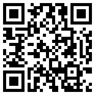 net framework 4.0黄化版