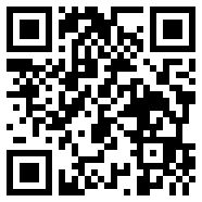 net framework 4.0游戏脚本