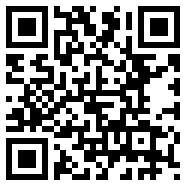 侠盗车手4