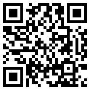 .net framework 4.03G版