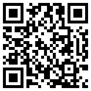 阿呆防闪框架.apk