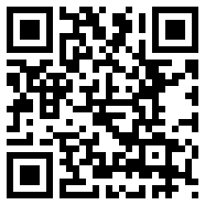 宝可梦白金ndsapp