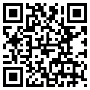 火影的养子汉化版安卓破解Web3版