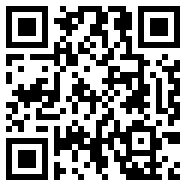 internetdownloadmanager黄化版