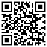 radmin3.2绿色版