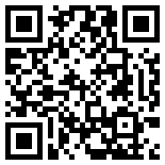 精忠岳飞 下载
