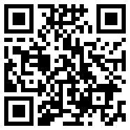 装机大师