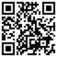 vivoy31s便携版