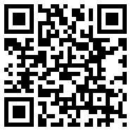 net framework 4.0贺岁版