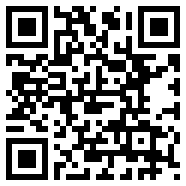 net framework 4.0中国版