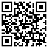 net framework 4.0中文版