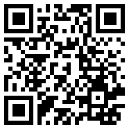net framework 4.0战略版