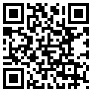 Divirtual汉化版